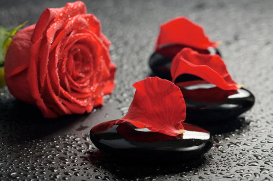 a beautiful red rose and some rock